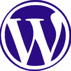 Professional Wordpress Website service